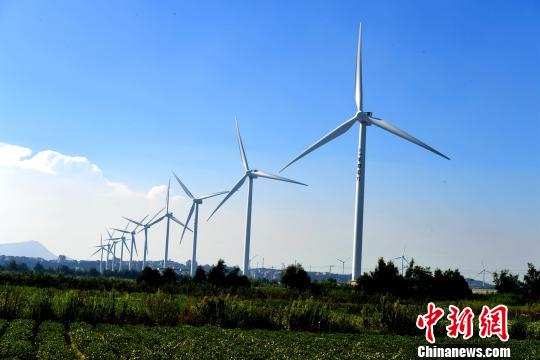 莆田沿海整齊的風力發(fā)電設備?！⊥鯑|明 攝