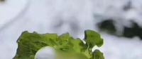 氣荒之后，又輪到了電煤供給的緊張局面