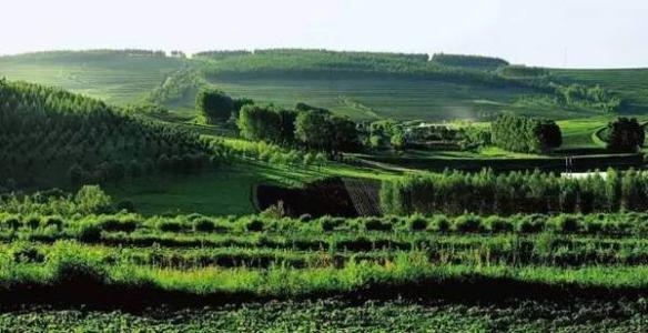 我國(guó)最大國(guó)有林區(qū)碳匯交易額超百萬