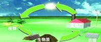 生物質(zhì)是替代核電、火電 彌補天然氣缺口的一種重要新能源