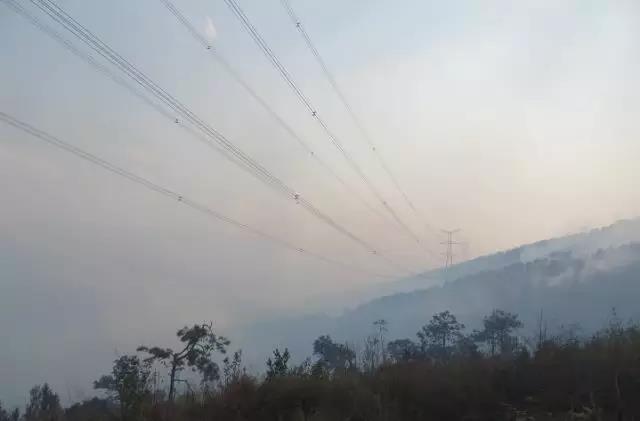 聽(tīng)說(shuō)最近輸電線路和鐵塔“火”啦！