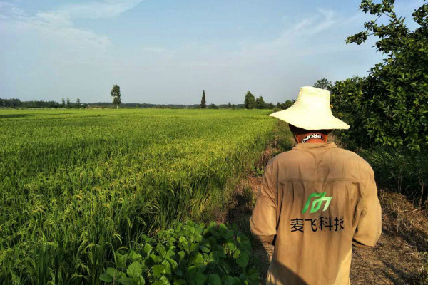 “AI+遙感”覬覦萬(wàn)億級(jí)智慧農(nóng)業(yè)市場(chǎng)，這次沒有中間商賺差價(jià) 