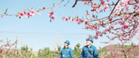 世界一流能源互聯(lián)網(wǎng)企業(yè)怎么建？國網(wǎng)已簽訂39個(gè)增量配電試點(diǎn)項(xiàng)目合作意向書