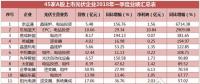 一季度45家光伏企業(yè)業(yè)績(jī)榜單登場(chǎng)：超八成飄紅，兩級(jí)分化現(xiàn)象嚴(yán)重