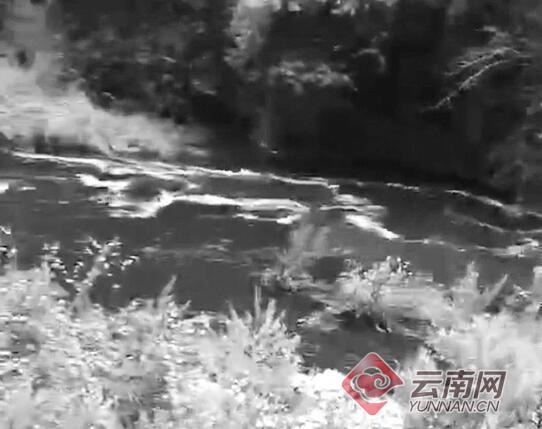 云南麗江部分水體變黑臭并有牲畜尸體，環(huán)保局：水閘放水引起