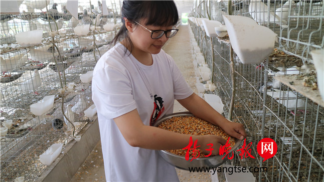 一個“80”后研究生的“綠色農(nóng)業(yè)夢”：用“互聯(lián)網(wǎng)+”思維做農(nóng)業(yè)，新型職業(yè)農(nóng)民“潮”起來