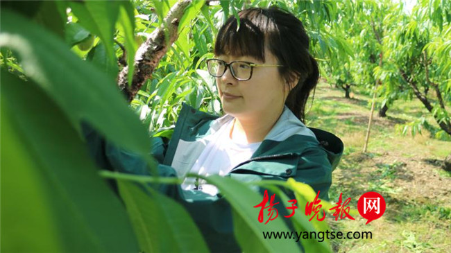 一個“80”后研究生的“綠色農(nóng)業(yè)夢”：用“互聯(lián)網(wǎng)+”思維做農(nóng)業(yè)，新型職業(yè)農(nóng)民“潮”起來