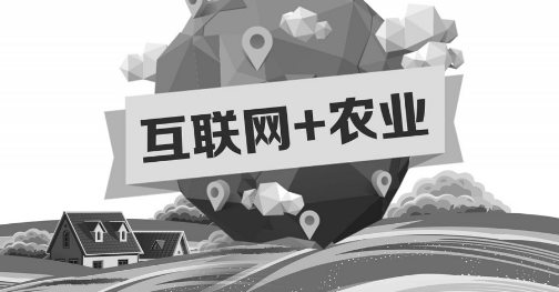 A5創(chuàng)業(yè)項(xiàng)目推薦：互聯(lián)網(wǎng)+農(nóng)業(yè)能碰撞出怎樣的新發(fā)展？