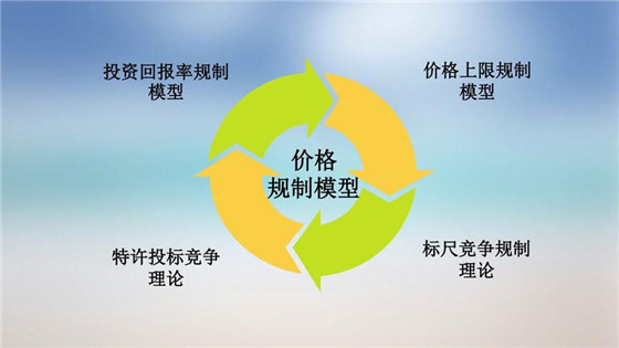 我國電力價(jià)格規(guī)制現(xiàn)狀、存在的問題及原因分析