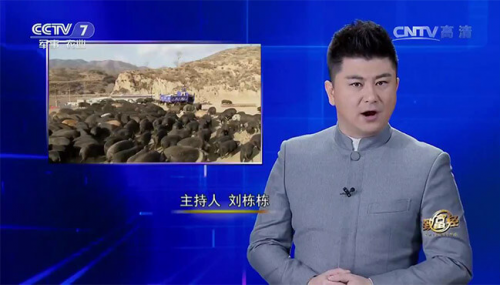 互聯(lián)網(wǎng)+農(nóng)業(yè)眾籌只賺吆喝 利潤(rùn)全被用戶拿走了？