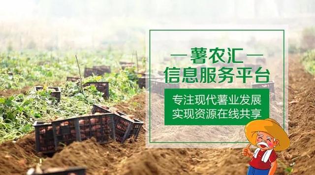 “互聯(lián)網(wǎng)+農(nóng)業(yè)”，創(chuàng)造農(nóng)村發(fā)展新活力