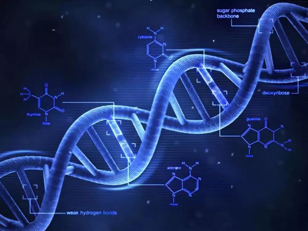 師法自然，仿生技術是如何改變世界的？