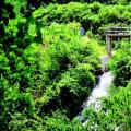 小水電全年不間斷發(fā)電 下游河道常年有水——府澴河流域生態(tài)流量泄放探訪(fǎng)