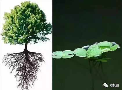 插樁式、坐底式 詳解海上風(fēng)電安裝平臺的作業(yè)方式