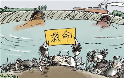 上游污水“毒死”萬畝大閘蟹，誰擔(dān)其責(zé)？