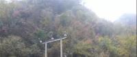 湖北整治關(guān)停100多座小水電站 , 其中宜昌48座、神農(nóng)架林區(qū)21座、恩施20座