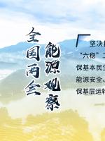 讀圖｜2020政府工作報告中這些內(nèi)容，和能源電力有關(guān)！